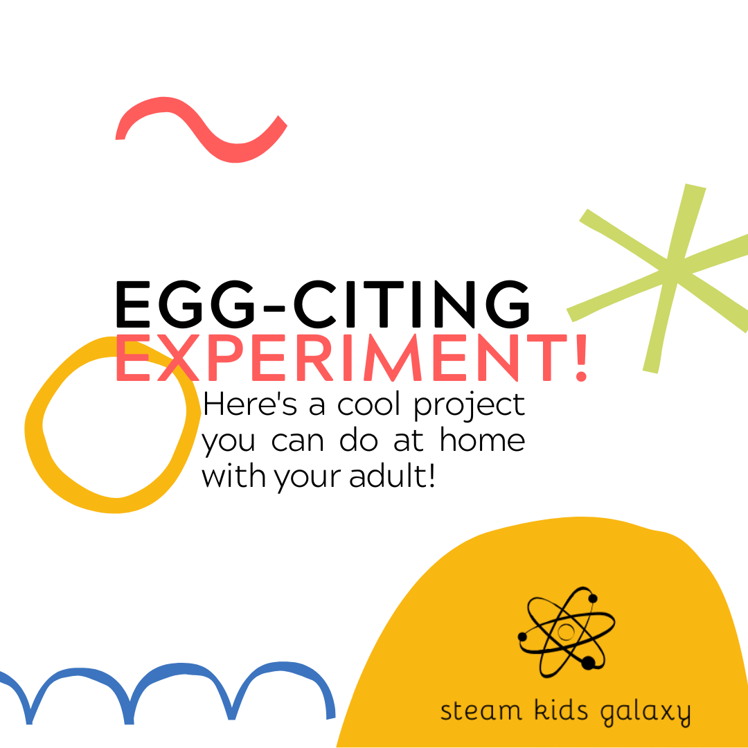 eggciting experiment